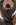 Manhwa Assassin’s Creed gambar 2